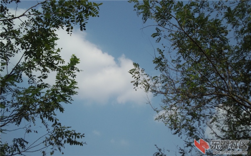 蓝蓝天空白云飘飘