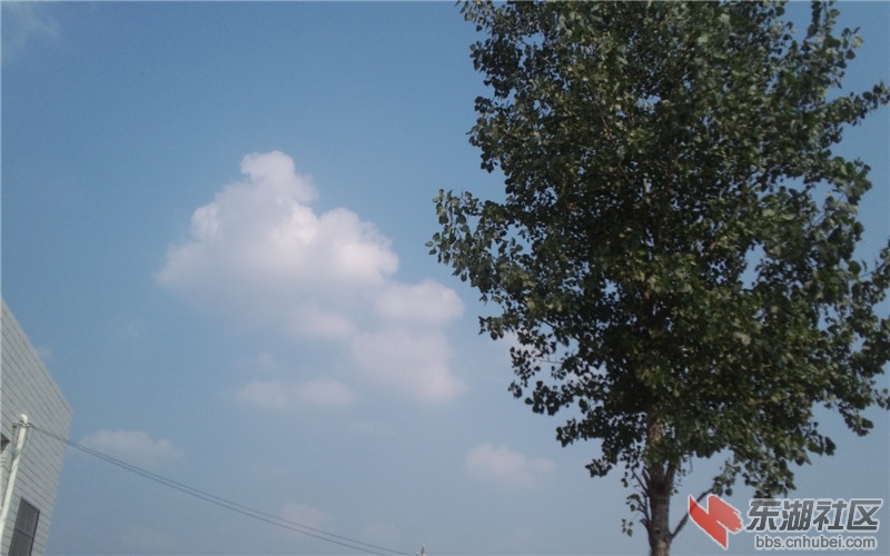 我在为你守候
