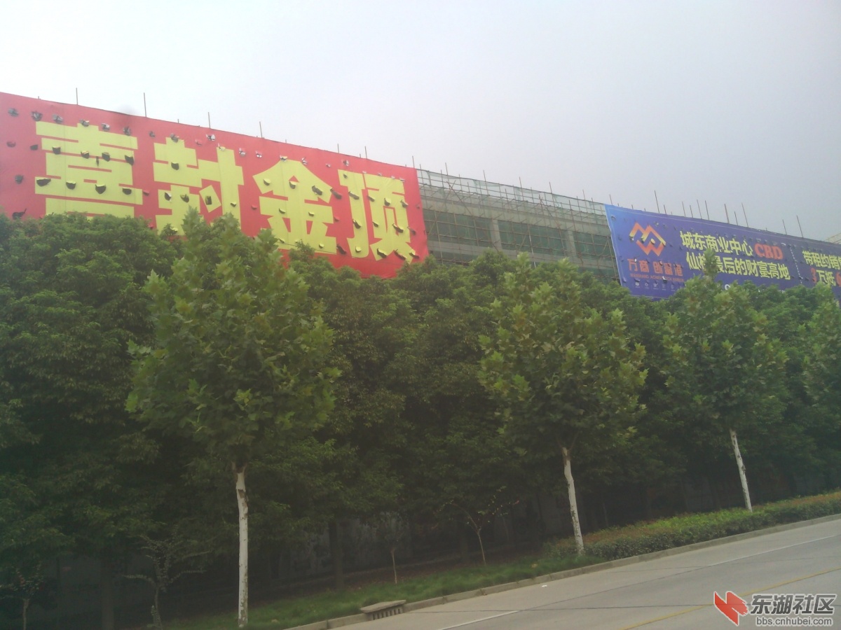 IMG_20140908_152017.jpg