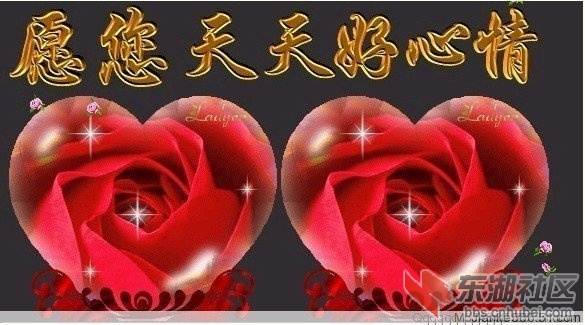 3d3ec9c973df50d6041a08bdd2d6f03a.jpg