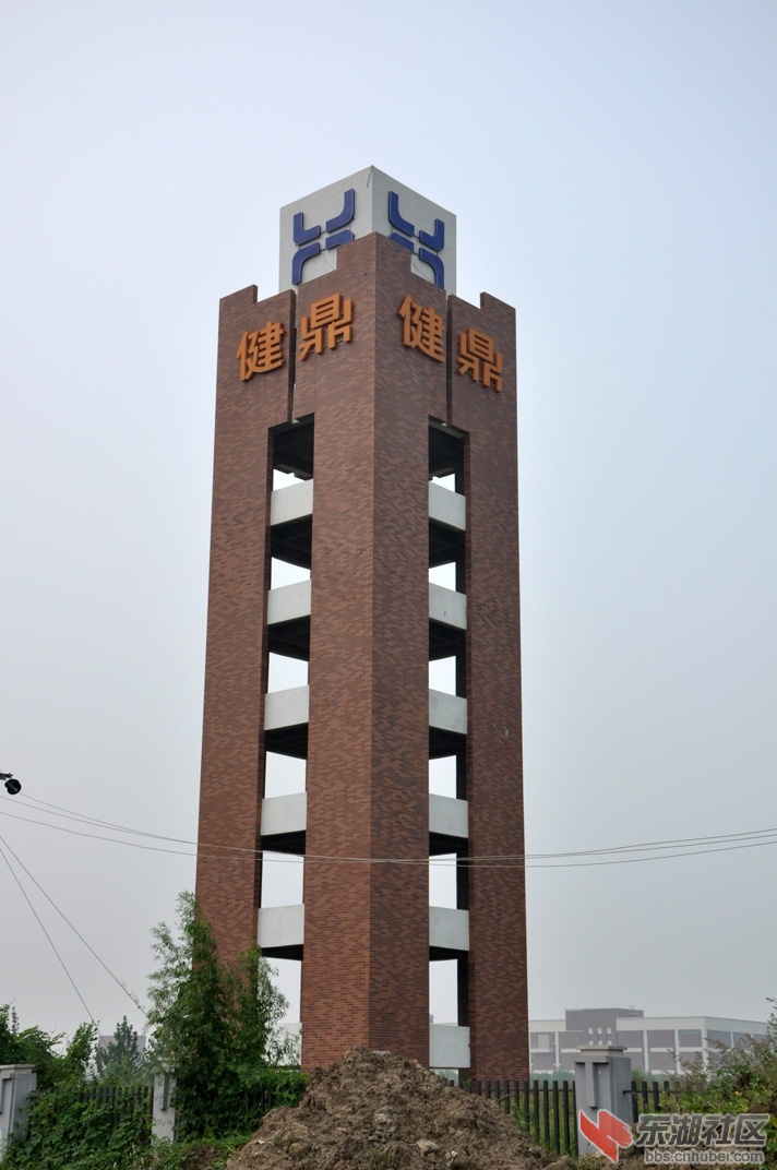 63.jpg