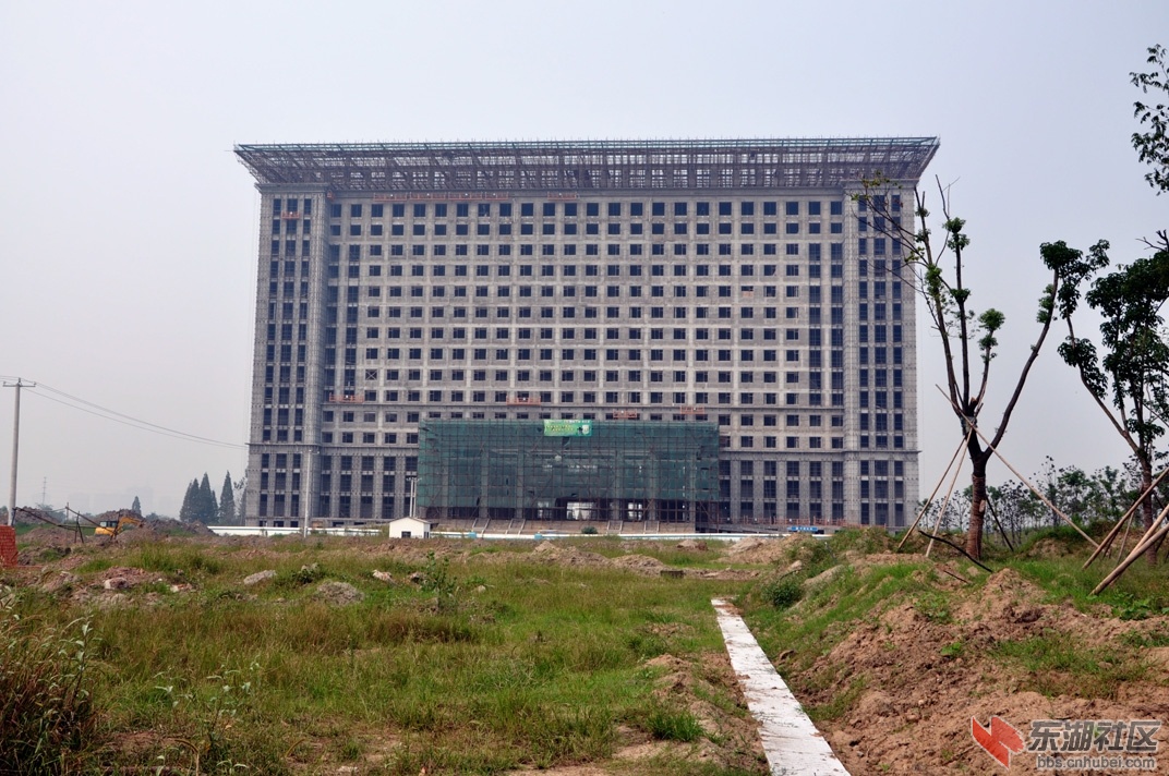 59.jpg