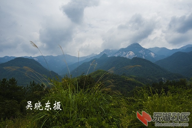晓东01.jpg