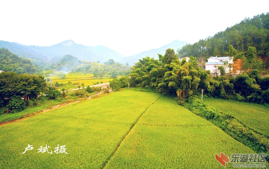 大别山--卢斌 (1).jpg