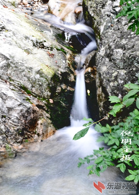 倪明主作品.jpg