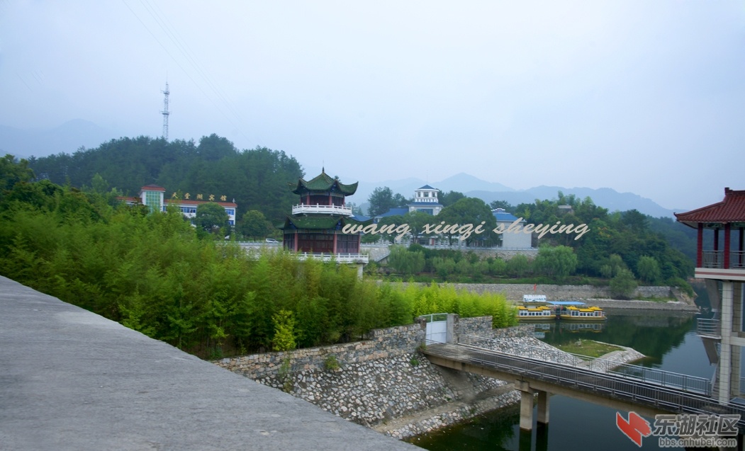 DSC08061.jpg