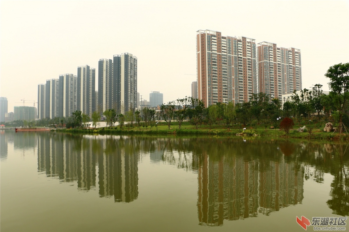 大冶尹家湖景观带随拍(图)