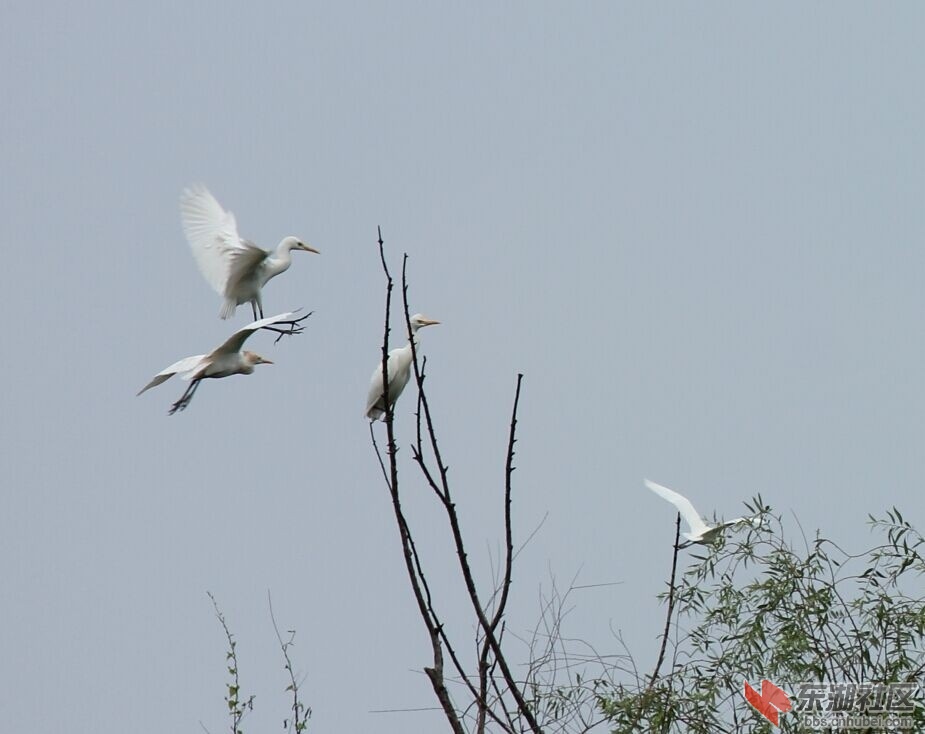 QQ图片20140915203423.jpg