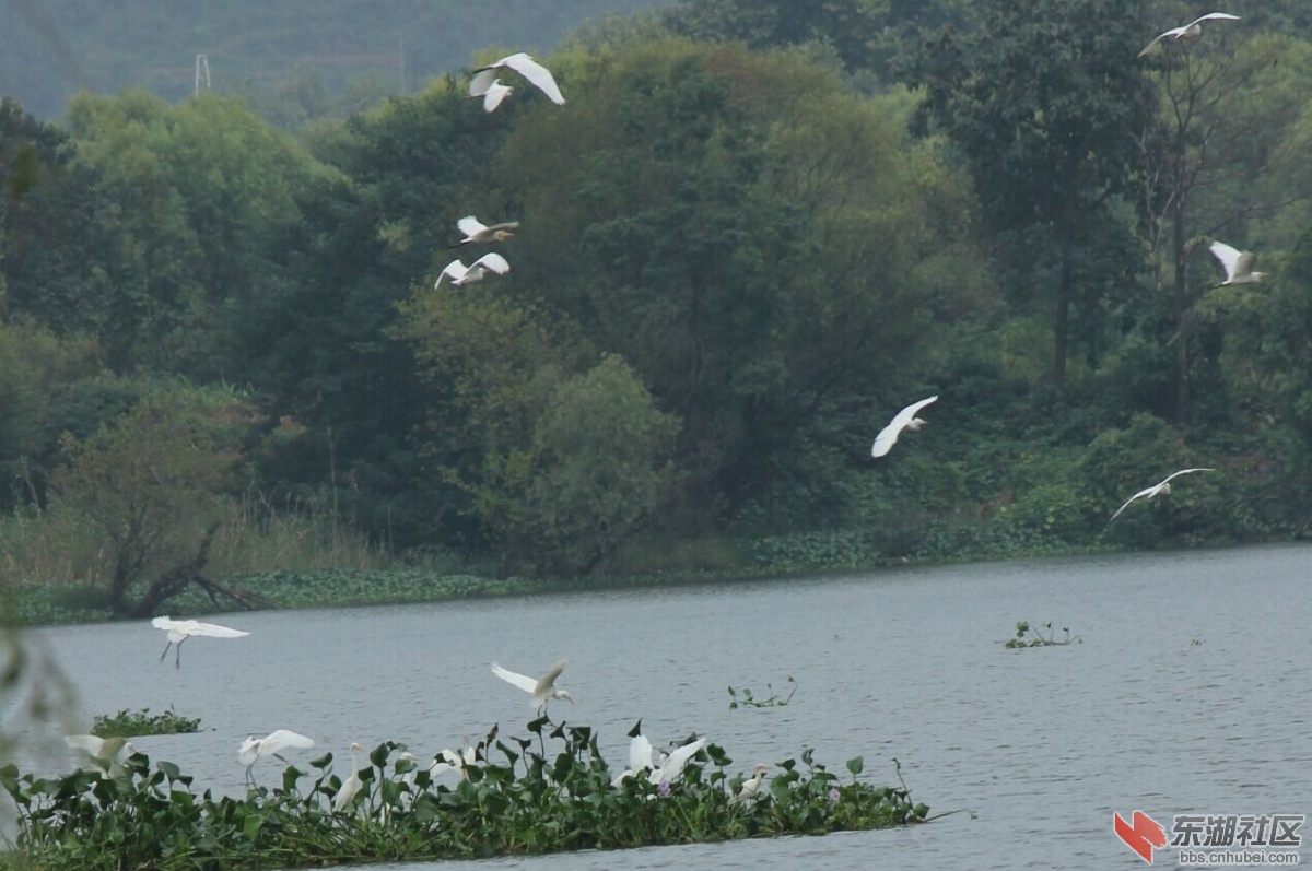 QQ图片20140915203430.jpg