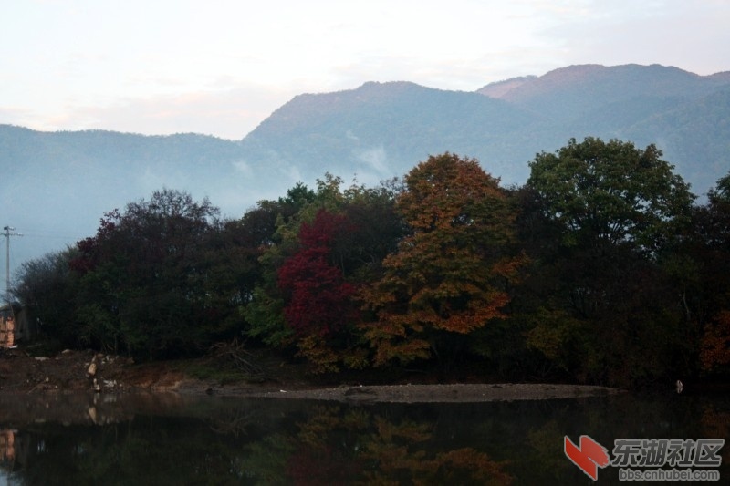 conew_conew_img_1571.jpg