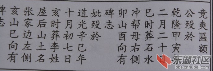 节妇资料