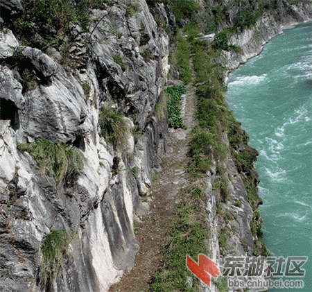 20100509023956796.gif
