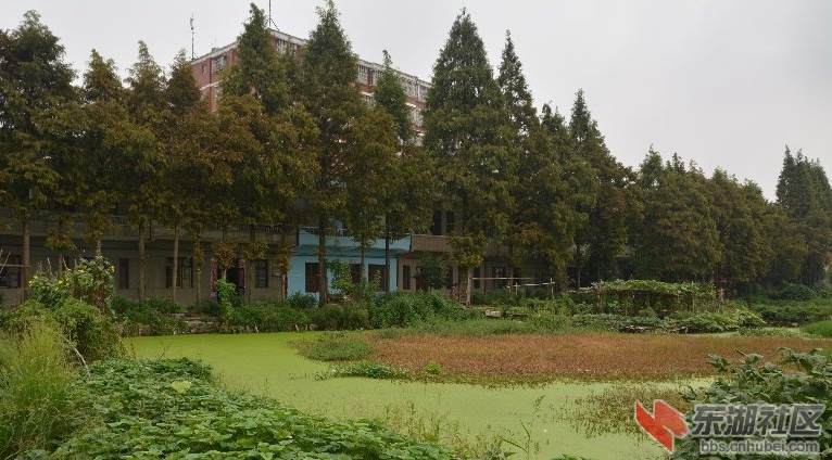 城中村