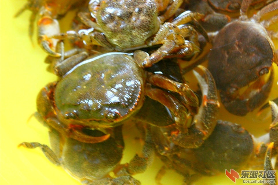 psb_meitu_1.jpg