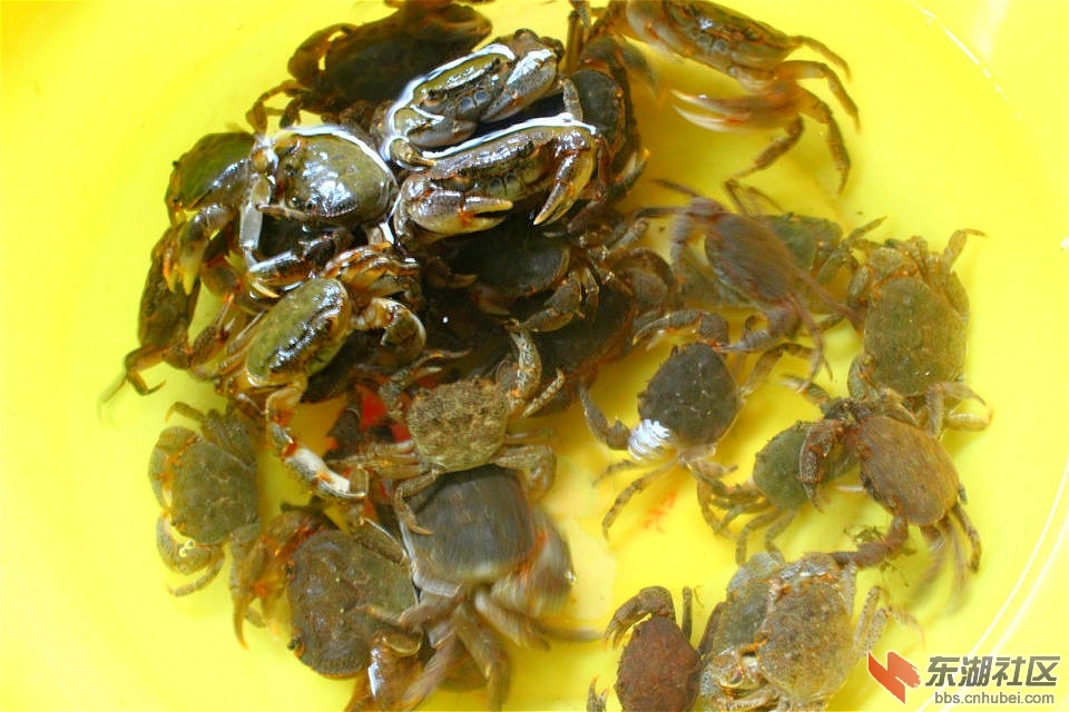 psb_meitu_3.jpg