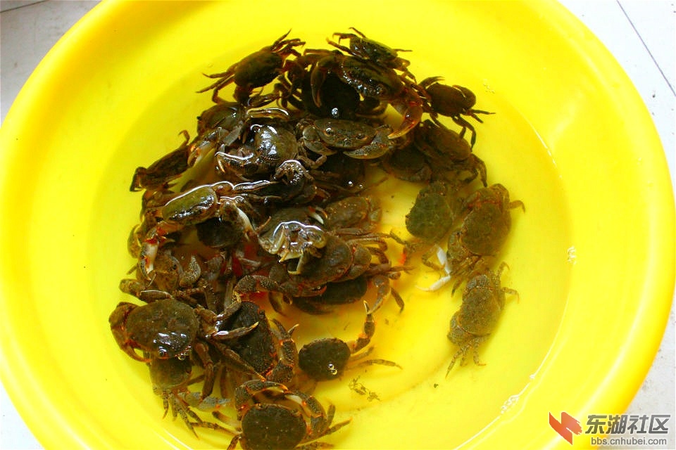 psb_meitu_2.jpg