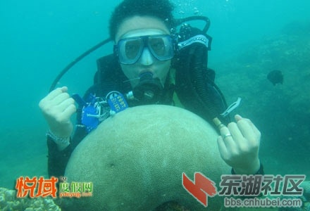海底世界 潜水新7副1(1).jpg