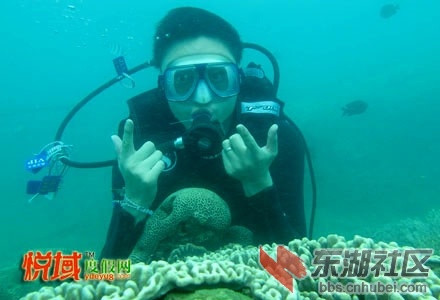 海底世界 潜水新8副(1).jpg