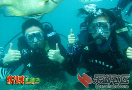 海底世界 潜水新10副(1).jpg