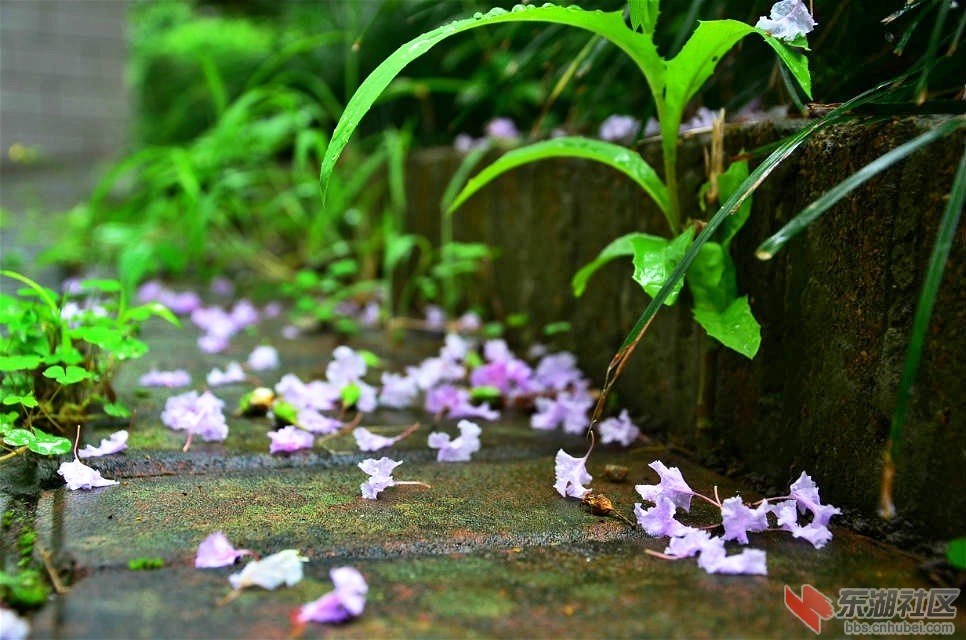 psb_meitu_8.jpg