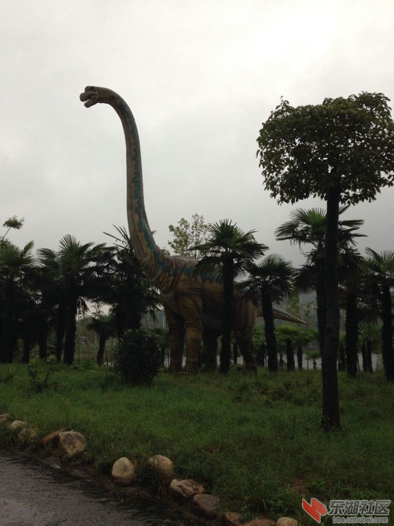 QQ图片20140918173943.jpg