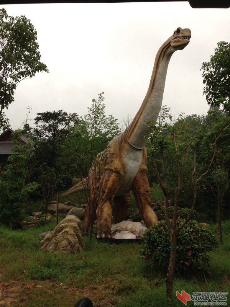QQ图片20140918173939.jpg
