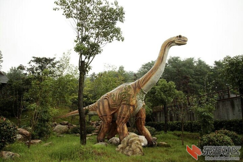 QQ图片20140918174426.jpg