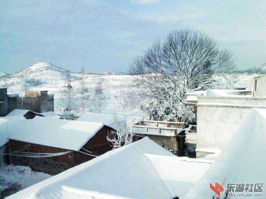 家乡雪景2.jpg