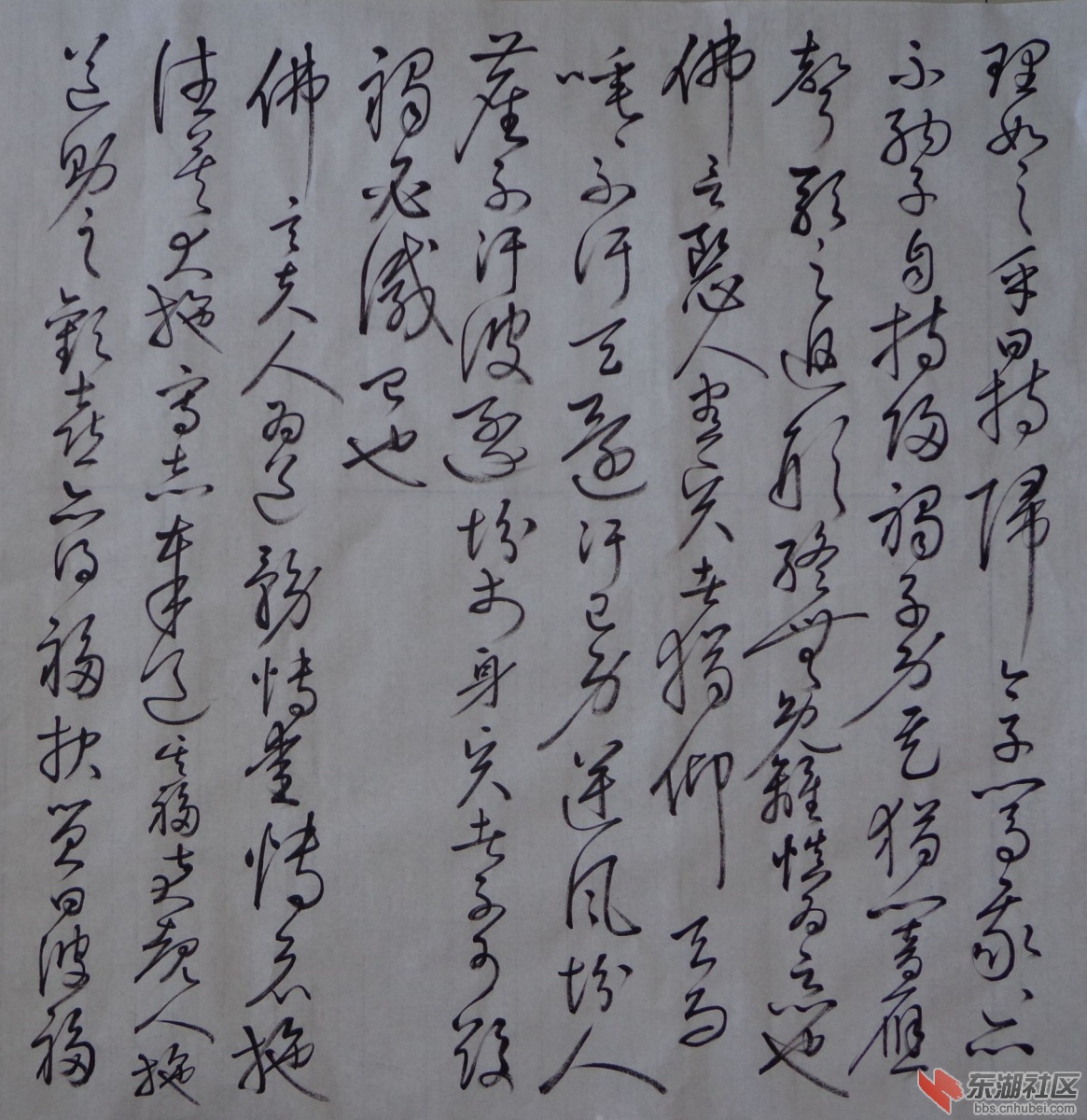 DSC02521_副本.jpg