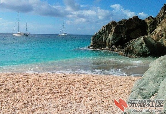 2.圣巴特斯岛贝壳海滩.jpg