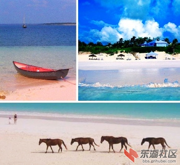 7.百慕大和巴哈马的粉沙海滩.jpg