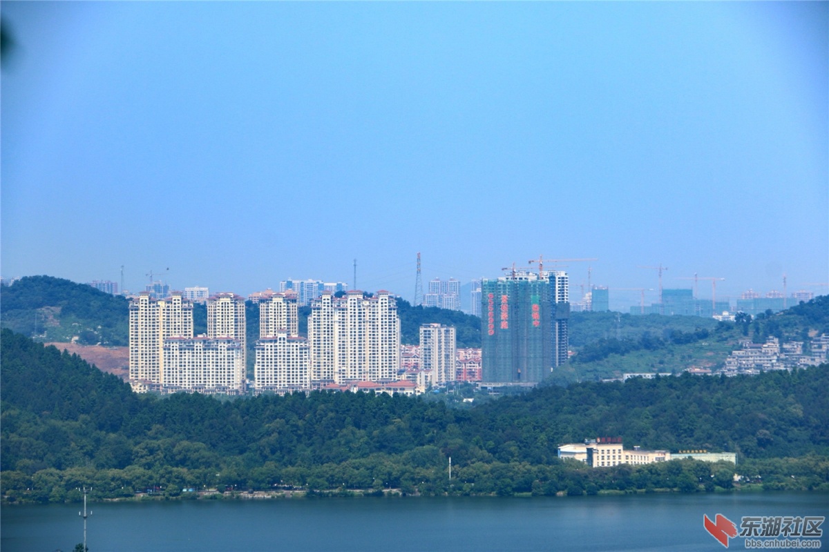 IMG_4164_dh.JPG