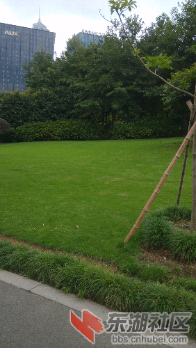IMG_20140915_142048.jpg