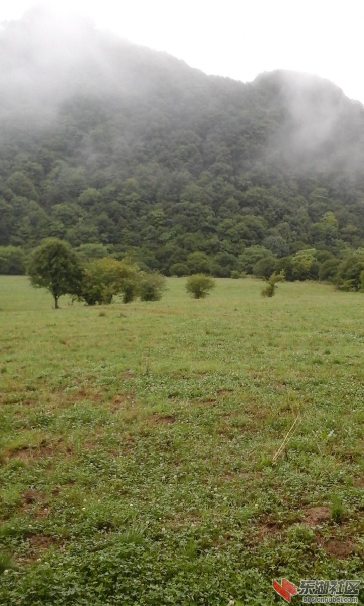 20140809_181946.jpg