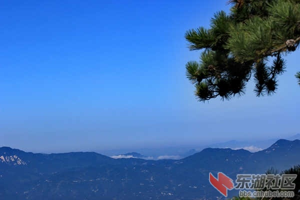 IMG_2124_dh.JPG