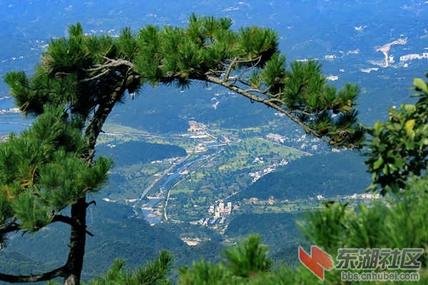IMG_2110_dh.JPG