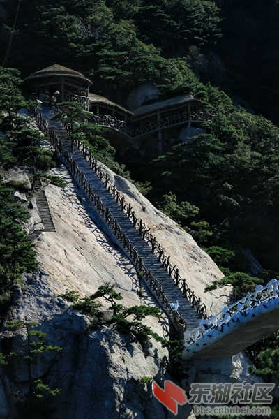 IMG_2100_dh.JPG