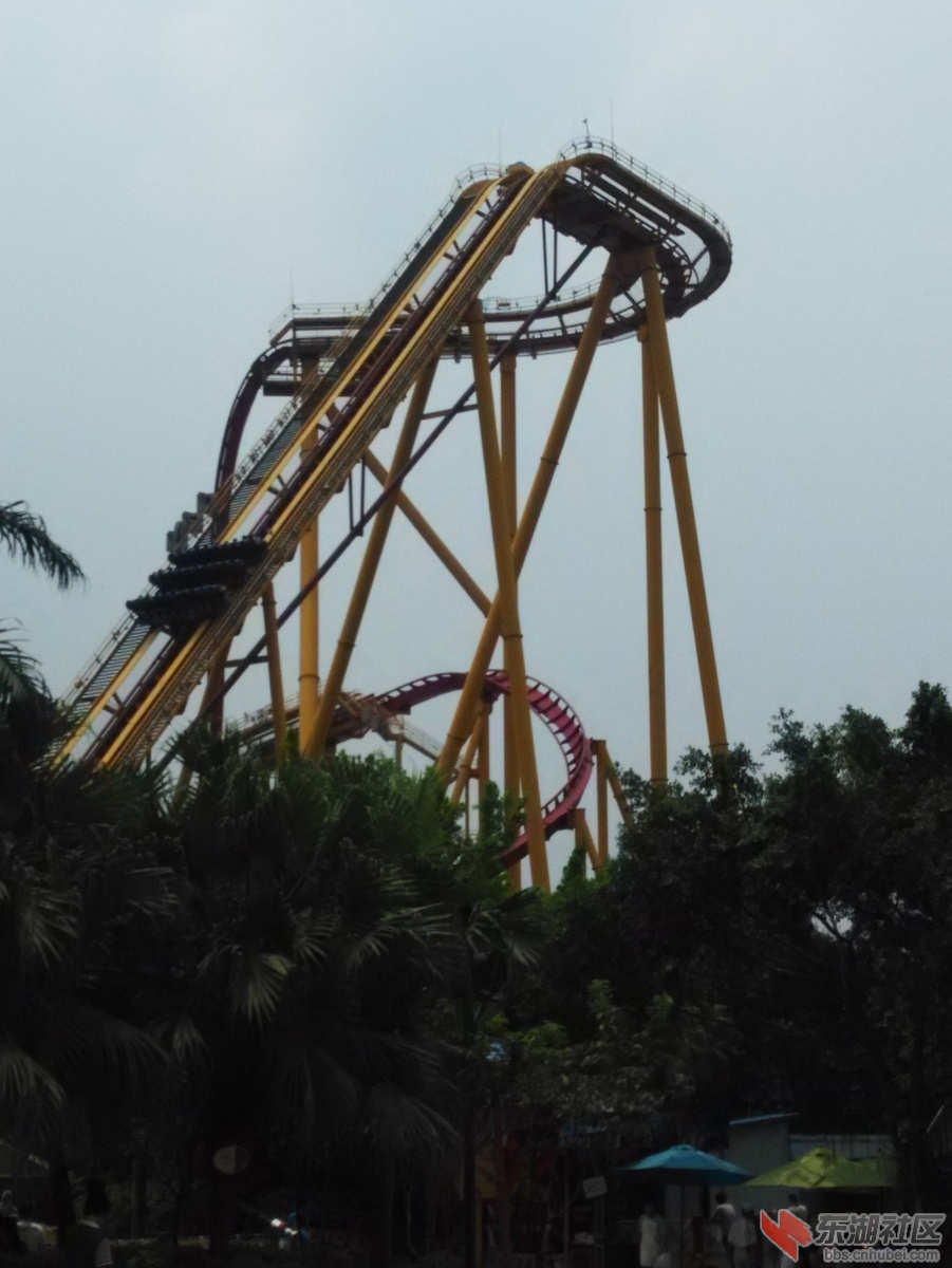 IMG_20140804_130639.jpg