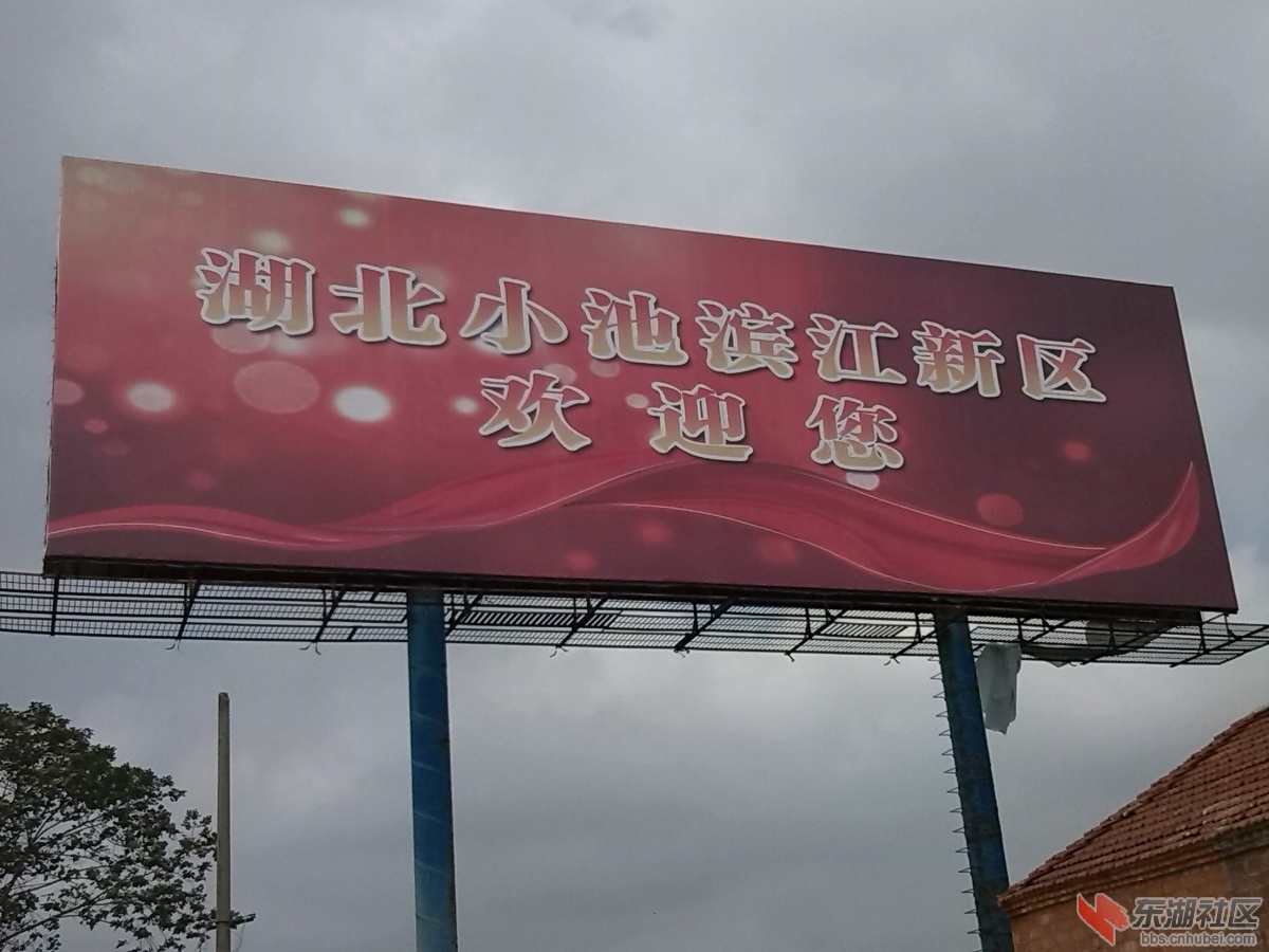 IMG_20140922_094703.jpg