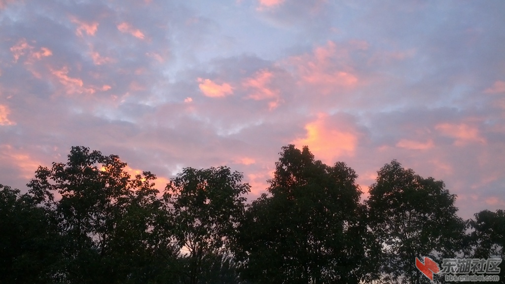 IMG_20140924_061234.jpg
