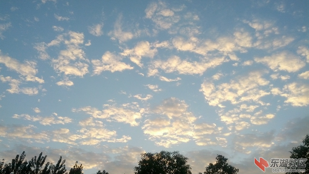 IMG_20140924_062958.jpg