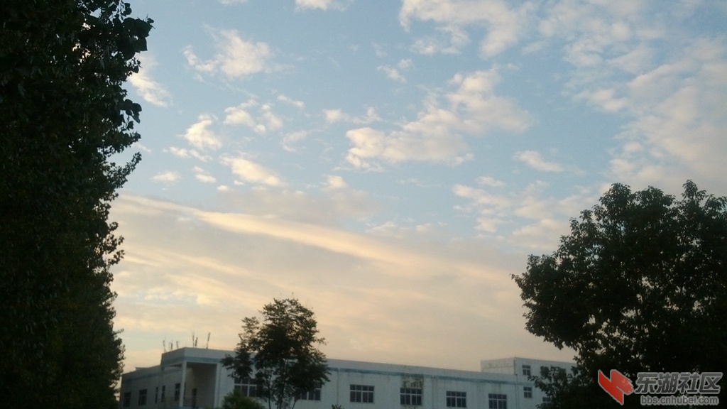 IMG_20140924_063545.jpg