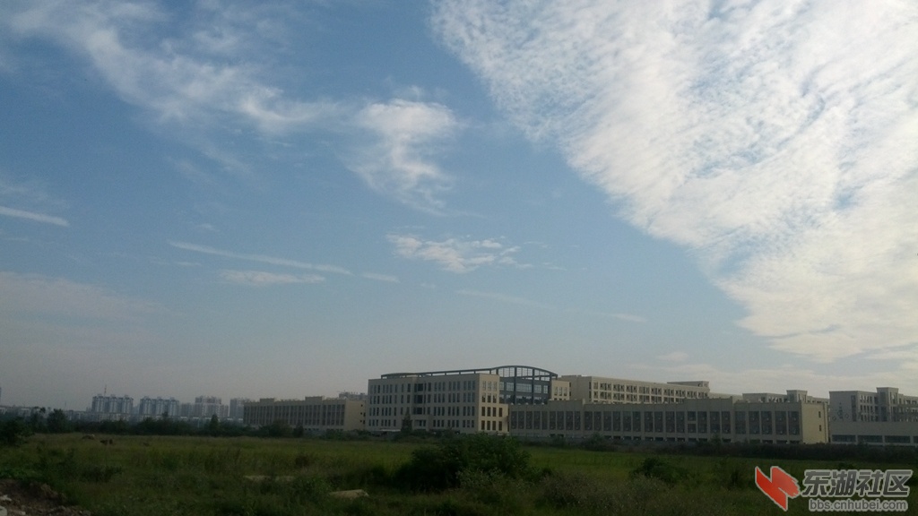 IMG_20140924_074800.jpg