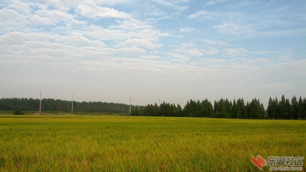 IMG_20140924_074907.jpg