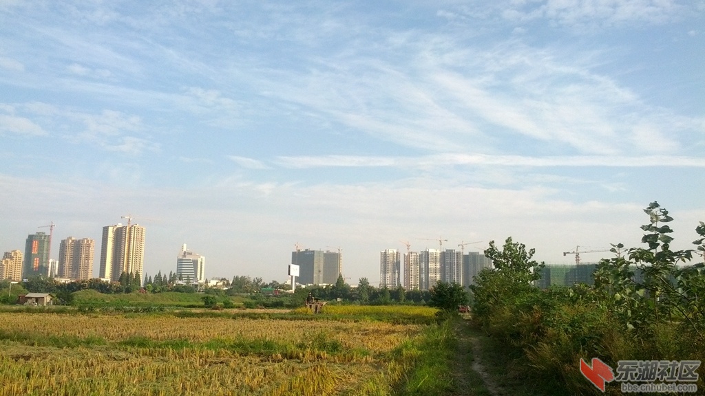 IMG_20140924_075909.jpg