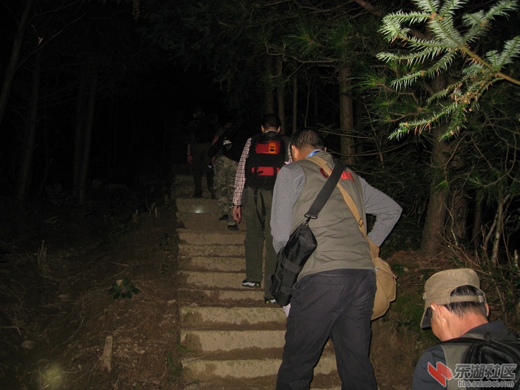 06.jpg