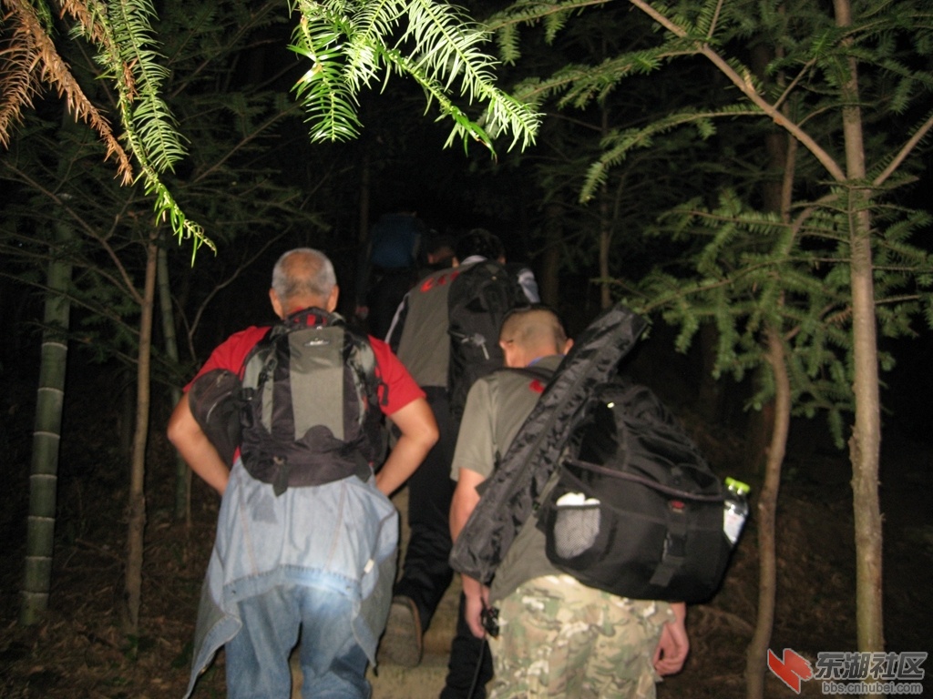 04.jpg