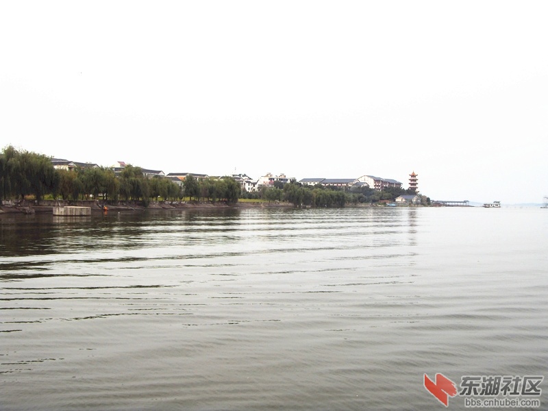 SDC10440_副本.jpg