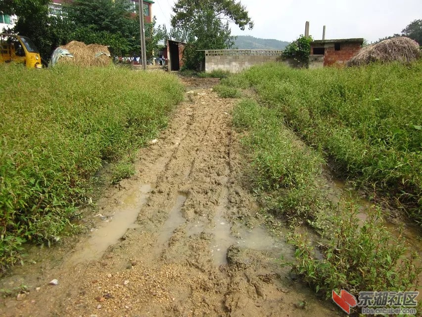 祝垸的路19.jpg