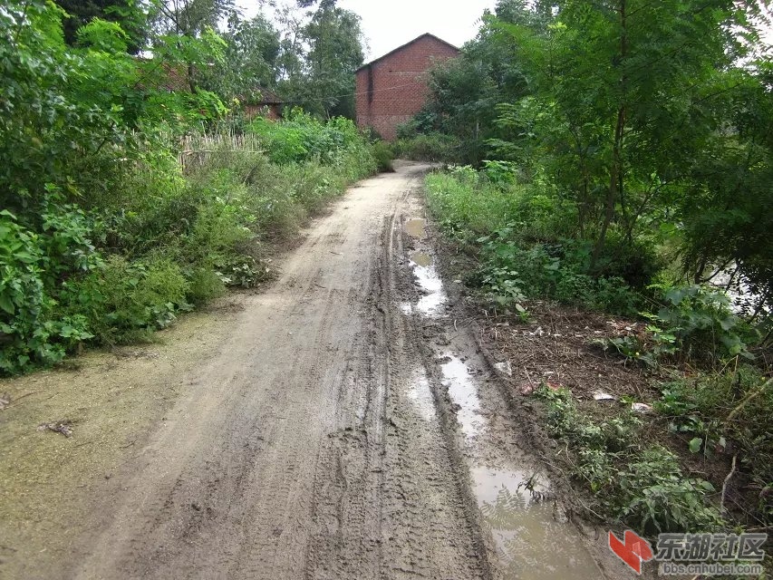 祝垸的路4.jpg